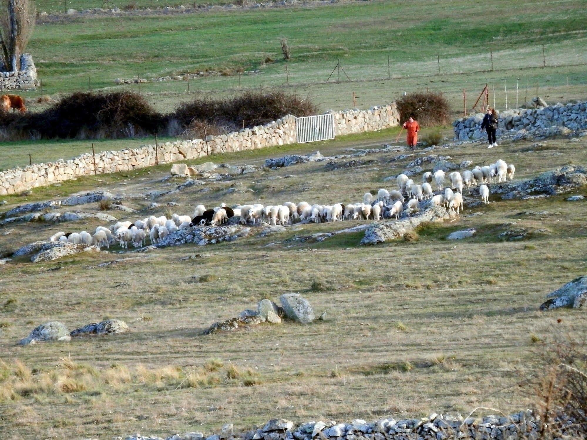 Bernuy-Salinero Casa Rural El Dolmen المظهر الخارجي الصورة