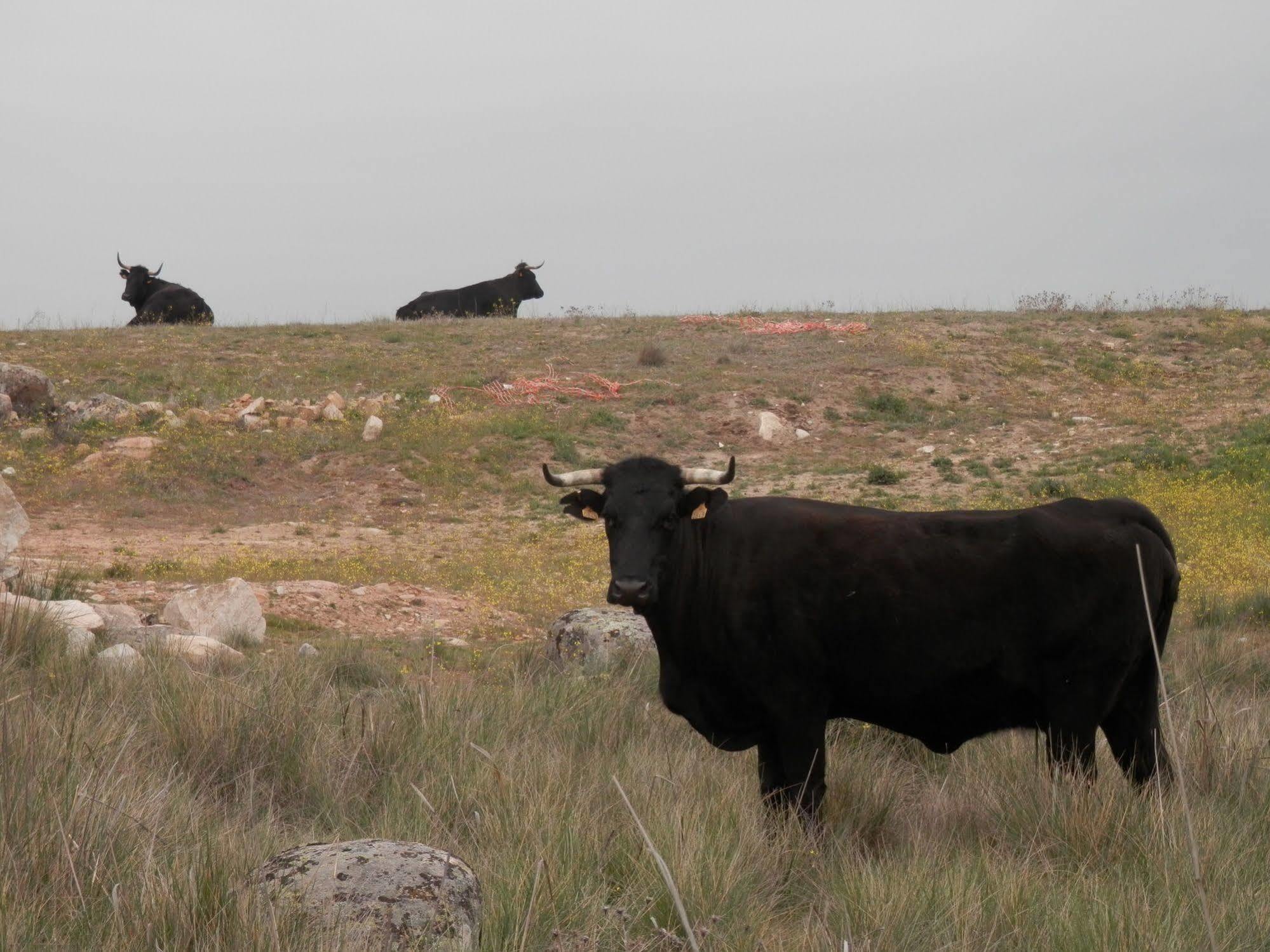 Bernuy-Salinero Casa Rural El Dolmen المظهر الخارجي الصورة